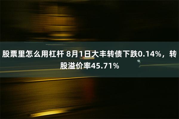 股票里怎么用杠杆 8月1日大丰转债下跌0.14%，转股溢价率45.71%