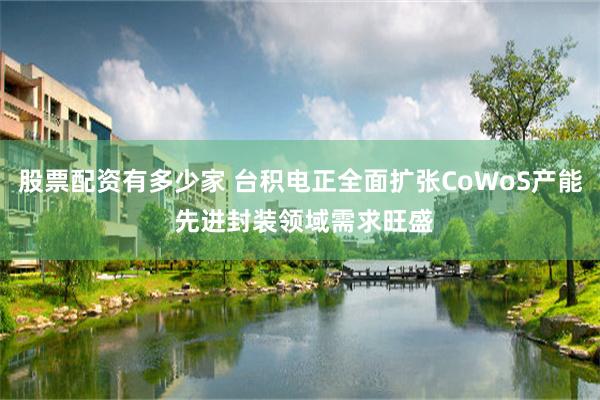 股票配资有多少家 台积电正全面扩张CoWoS产能 先进封装领域需求旺盛