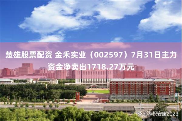 楚雄股票配资 金禾实业（002597）7月31日主力资金净卖出1718.27万元