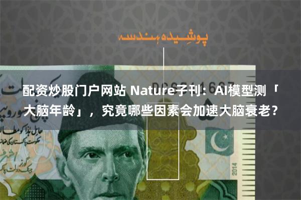 配资炒股门户网站 Nature子刊：AI模型测「大脑年龄」，究竟哪些因素会加速大脑衰老？