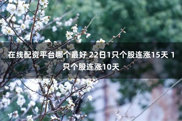 在线配资平台哪个最好 22日1只个股连涨15天 1只个股连涨10天