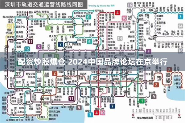 配资炒股爆仓 2024中国品牌论坛在京举行